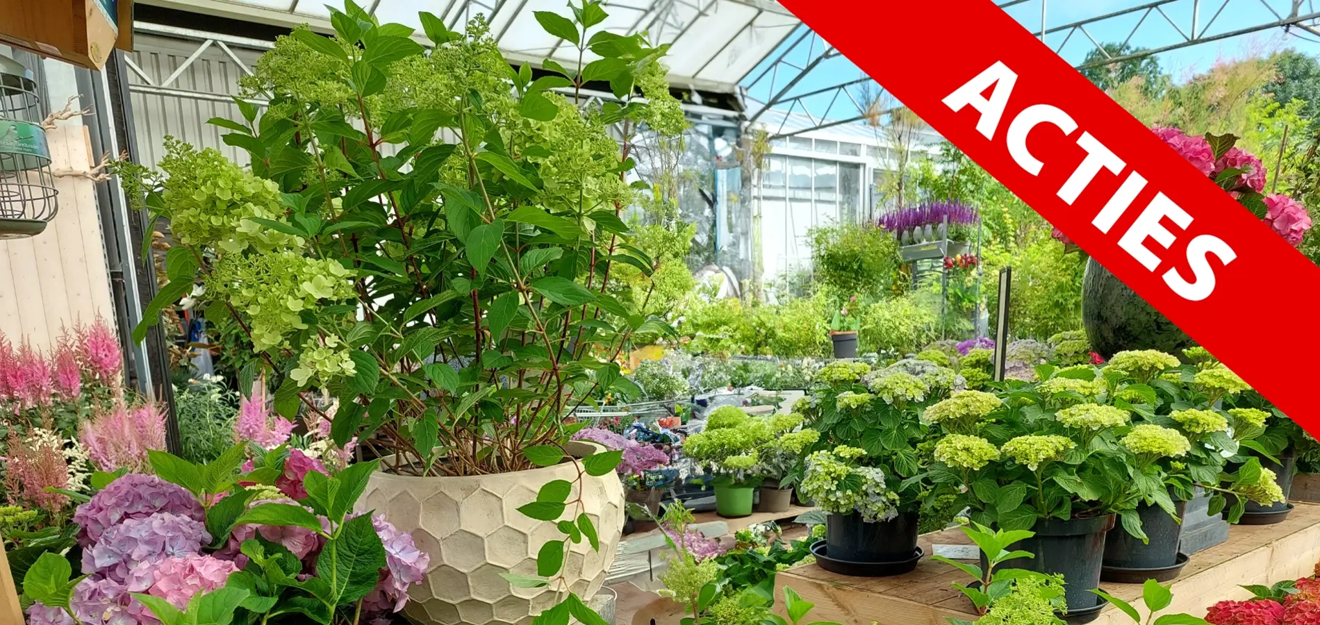 Bekijk hier onze acties!