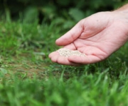 Gras zaaien Gras zaaien