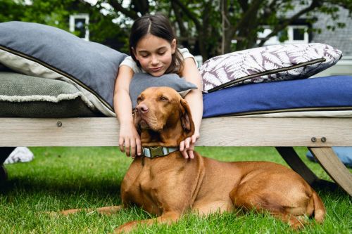 Hoe verzorg ik mijn huisdier? Dierenwinkel in Almere geeft tips!