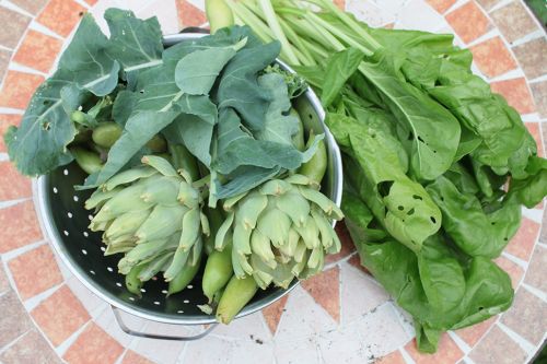 Moestuinieren in de nazomer