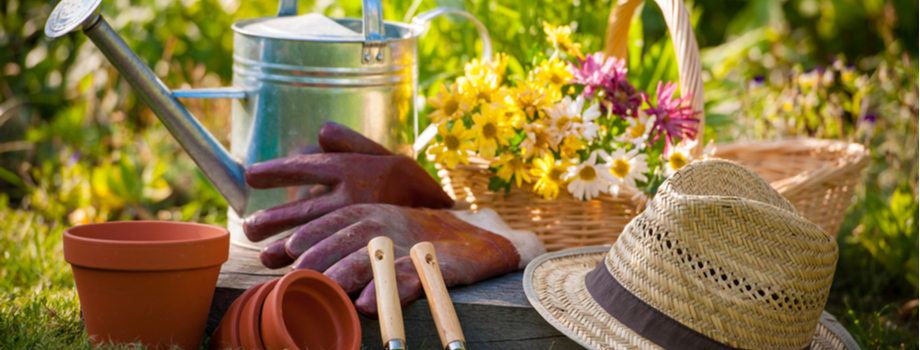 Tuinhandschoenen en meer kopen bij Almeerplant 