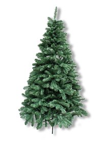 Arland Spruce blauw/groen 180cm