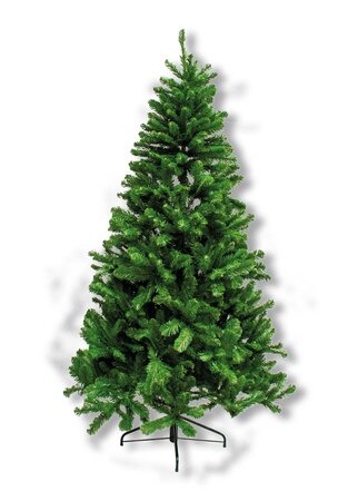 ARLAND SPRUCE GROEN 270cm