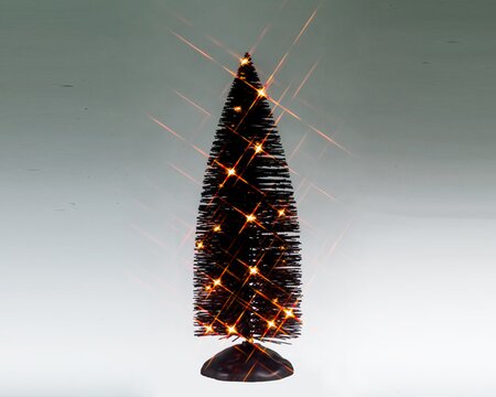 Black Bristle Tree With Orange Lights