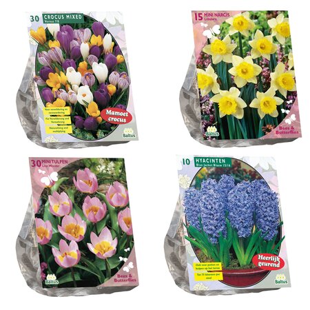 Bloembollen, diverse soorten