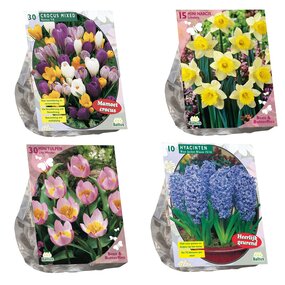 Bloembollen, diverse soorten