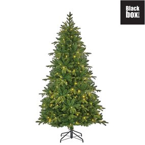 Brampton groen 230cm LED