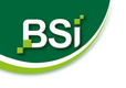 BSI