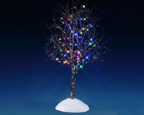 Butternut Tree, Multi Light