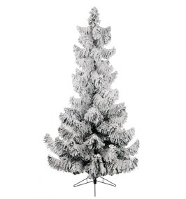 Colorado Pine 180cm - afbeelding 2