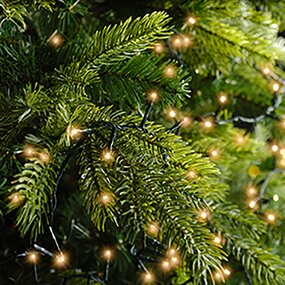 Compact LED lights Klassiek warm (750cm) - afbeelding 6