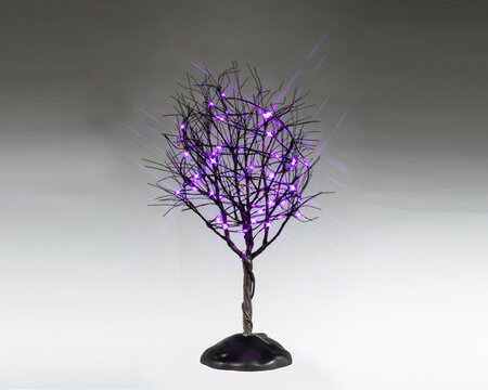 Dry Tree With Purple Lights