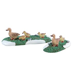 Ducks, set van 2