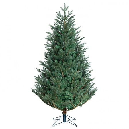 Frasier blauw 185cm - afbeelding 1