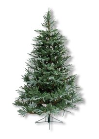 Frasier blauw 215cm