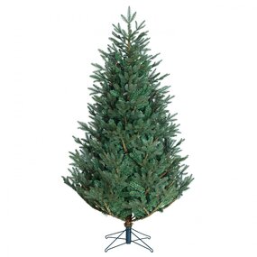 Frasier blauw 230cm - afbeelding 3