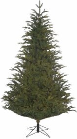 Frasier Fir 185cm
