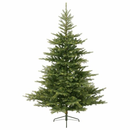 GRANDIS FIR 210cm