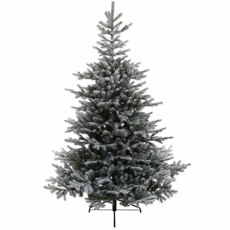 GRANDIS FIR SNOWY 210cm