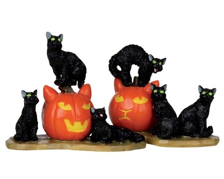 Halloween cats, set van 2