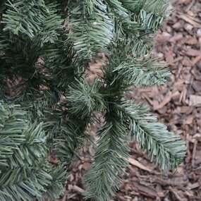Imperial Pine 180 - afbeelding 3
