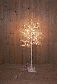 Berkenboom H160cm LED