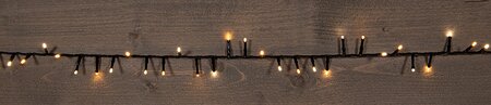 IVY LED 16m Wam wit Compact - afbeelding 4