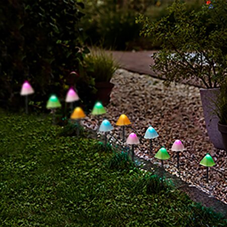Paddenstoelen Acryl lights Multi 20 stuks - afbeelding 4