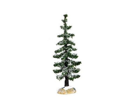 BLUE SPRUCE TREE, SMALL
