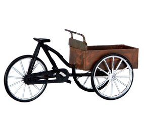 CARRY BIKE