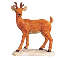 DEER ON THE HOOF