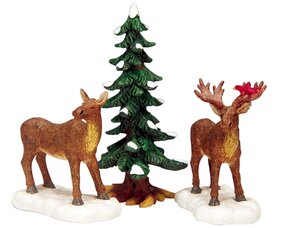 MR. AND MRS. MOOSE