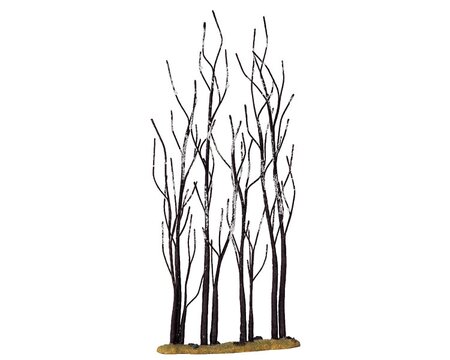 STAND OF SYCAMORE