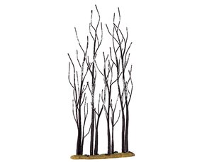 STAND OF SYCAMORE
