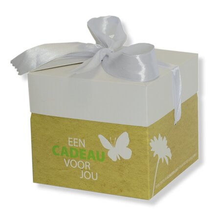 Luxe Cadeauverpakking