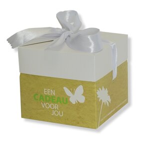 Luxe Cadeauverpakking