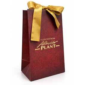 Luxe Cadeauverpakking Bordeaux