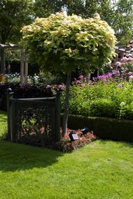 LUXFORM Lazise spotje - afbeelding 2