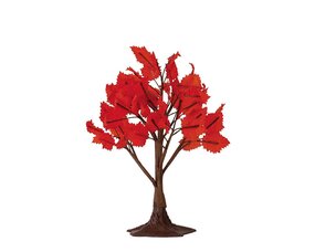MAPLE TREE, MEDIUM