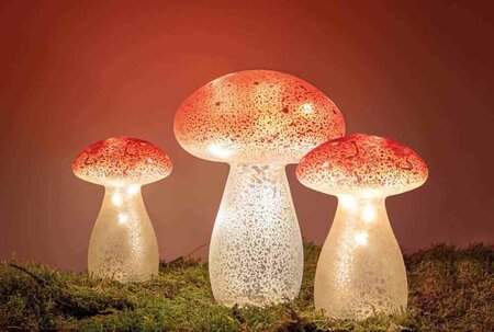 Paddenstoel H21 glas LED - afbeelding 3
