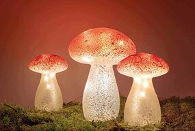 Paddenstoel H21 glas LED - afbeelding 3