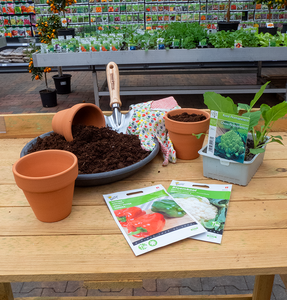 Plantgoed en pootgoed