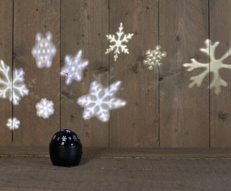 PROJECTOR SNEEUWVLOK