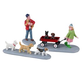 Puppy parade s3