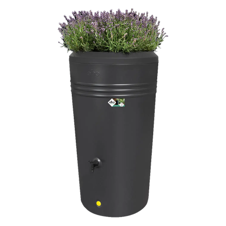 Regenton Living black 200L - afbeelding 1