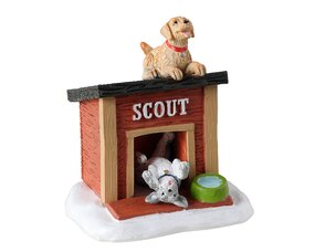 Scouts home