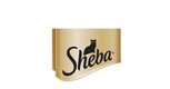 Sheba