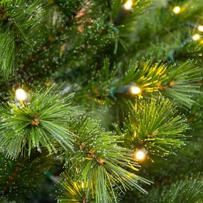 210cm Siberian Spruce + Warm LED - afbeelding 2