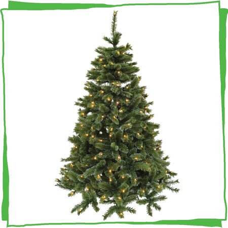 210cm Siberian Spruce + Warm LED - afbeelding 1