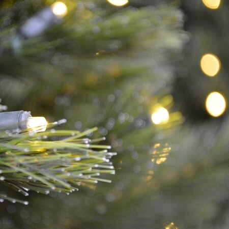 210cm Siberian Spruce + Warm LED - afbeelding 4
